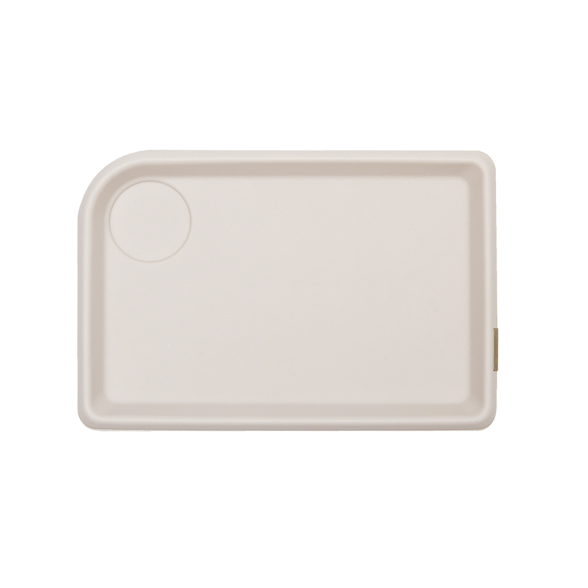 Tavish Eco-Leather Desk Tray, Large