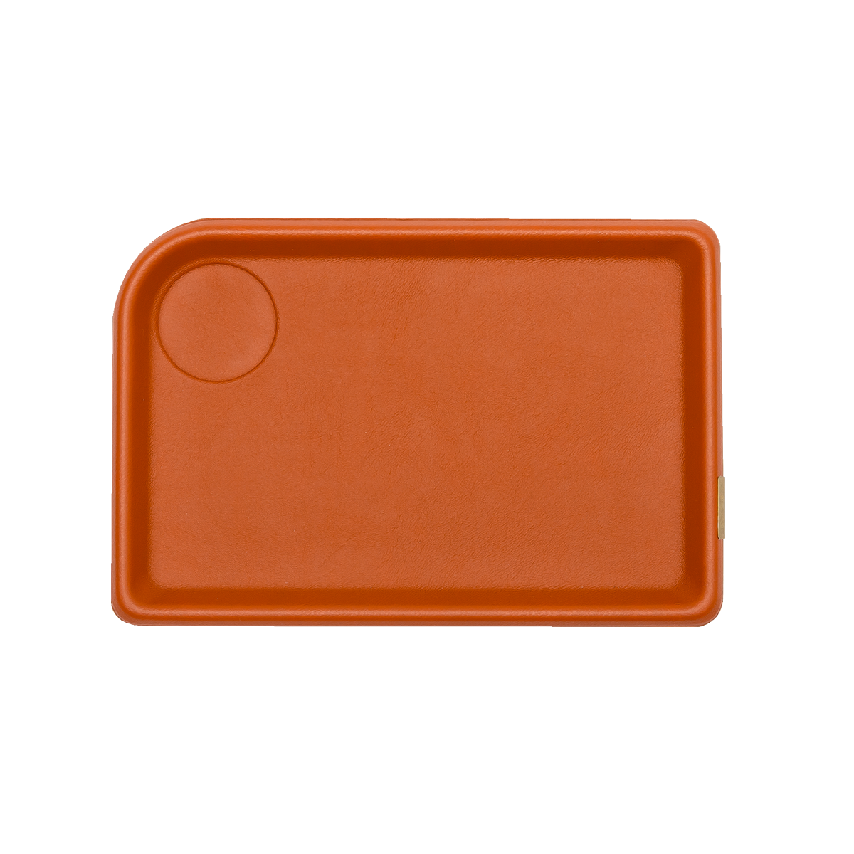 Tavish Eco-Leather Desk Tray, Large
